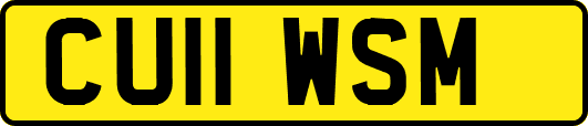 CU11WSM