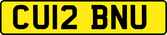 CU12BNU
