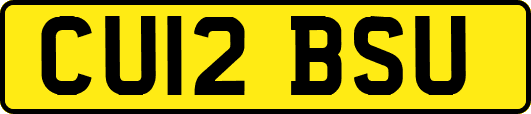 CU12BSU