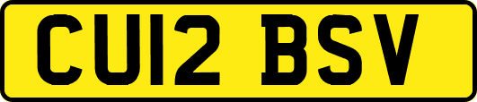 CU12BSV