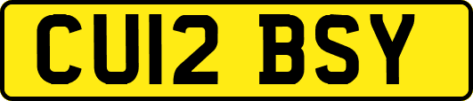 CU12BSY