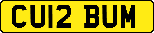 CU12BUM