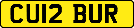 CU12BUR
