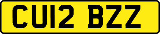 CU12BZZ