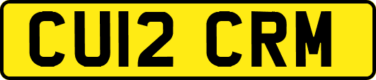CU12CRM