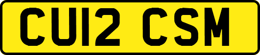 CU12CSM