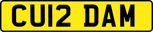 CU12DAM