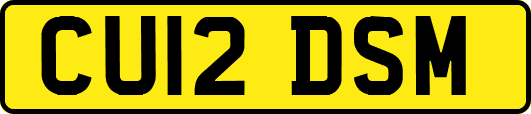 CU12DSM