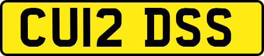 CU12DSS