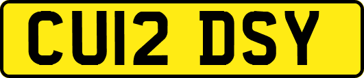 CU12DSY