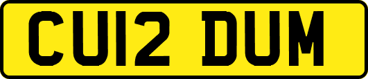CU12DUM