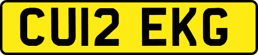 CU12EKG