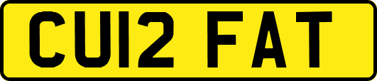 CU12FAT