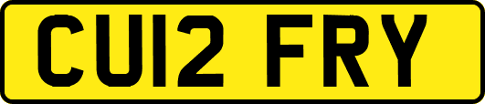 CU12FRY
