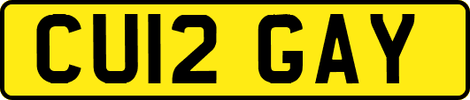 CU12GAY