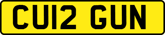 CU12GUN
