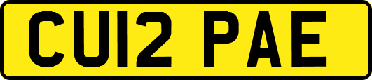 CU12PAE