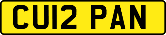 CU12PAN