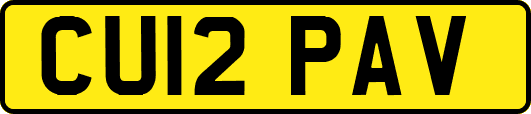 CU12PAV