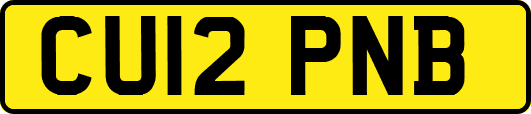 CU12PNB