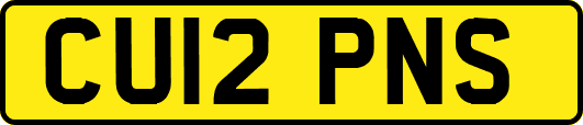 CU12PNS