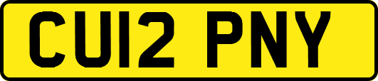 CU12PNY