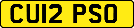 CU12PSO