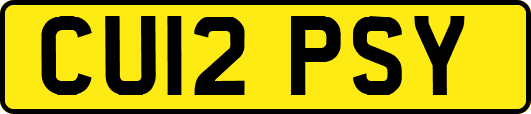 CU12PSY