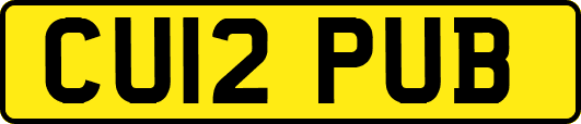 CU12PUB