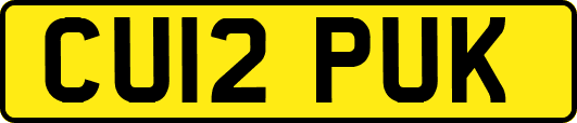CU12PUK