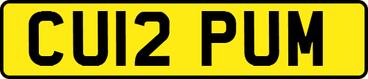 CU12PUM