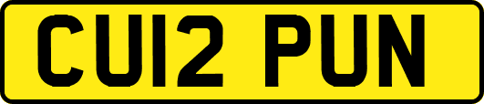 CU12PUN