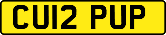 CU12PUP