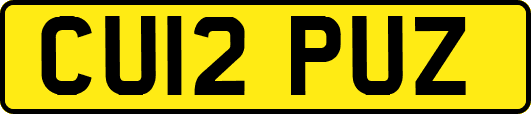 CU12PUZ