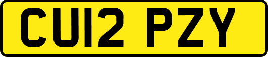 CU12PZY