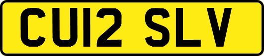 CU12SLV