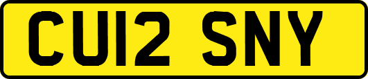 CU12SNY