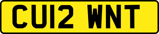 CU12WNT