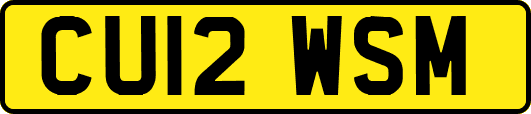 CU12WSM