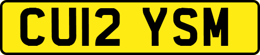 CU12YSM