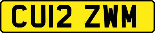 CU12ZWM