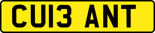 CU13ANT