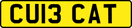 CU13CAT