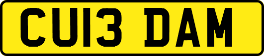 CU13DAM