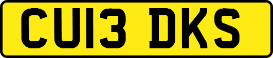 CU13DKS