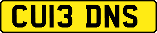 CU13DNS