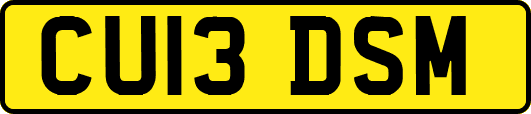 CU13DSM