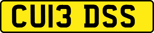 CU13DSS
