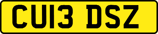 CU13DSZ