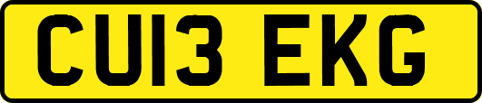 CU13EKG